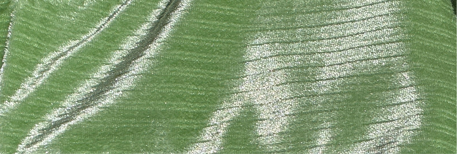 tessuto_velvet_menta